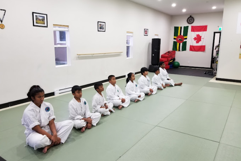 Little Dragon Img New