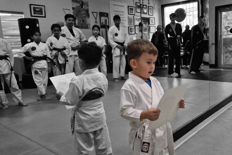 Little Dragon Img New